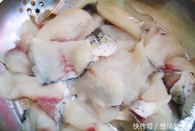 鱼发白 鱼发白