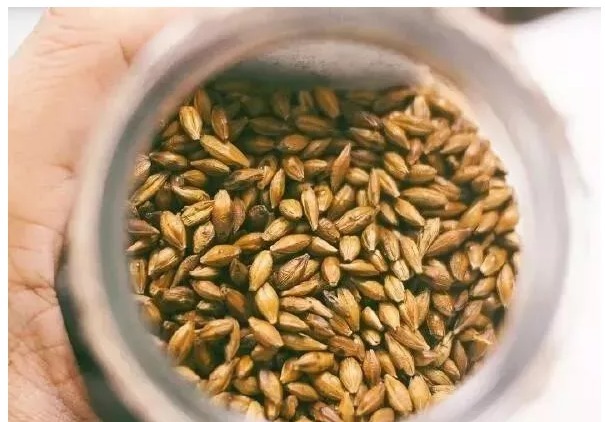 山药|吃一次刮一整天的油！春节吃出来的赘肉、血脂统统吃回去