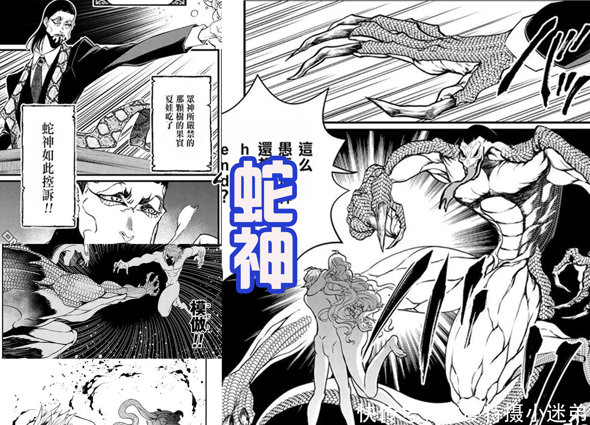 后援团|《终末的女武神》里面的众神,美神很受期待,湿婆后宫让人羡慕!