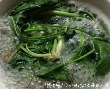 农村常见的野草用处可不小,坚持每天泡水喝,几个惊喜找上门