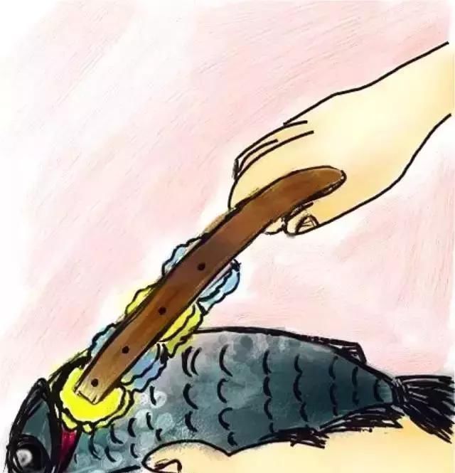 纸皮|家里这10种东西别再扔了,看到第一个就犯错,后悔当初不该扔