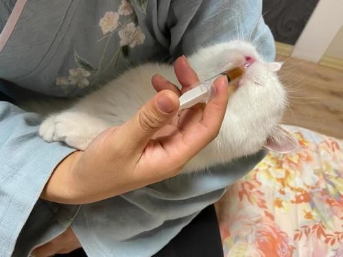 肝胆|一果一菜茶，解决各种黏腻臭，对肝胆太好了！