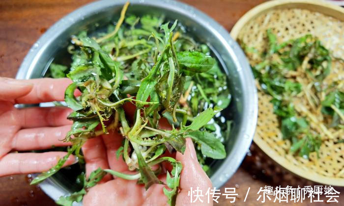 野菜|被“误解”最深的菜,全身是宝,比荠菜还营养,却因名字被人嫌弃