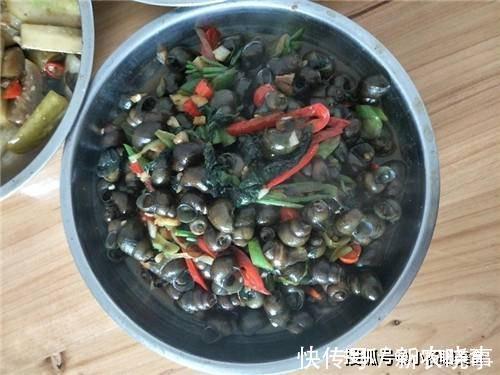 抗力|人称“盘中明珠”,在农村没人要,却是“钙中钙”,助发育提抗力