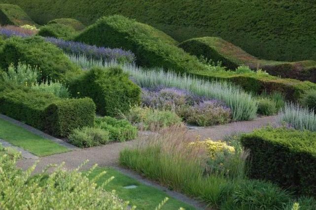 植物“整形”，花样百出