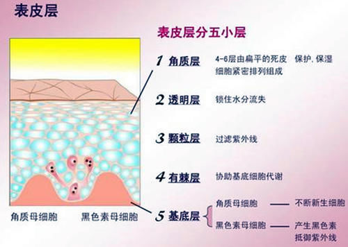  洗冷水浴|冬天一周洗几次澡？如何洗澡更科学？