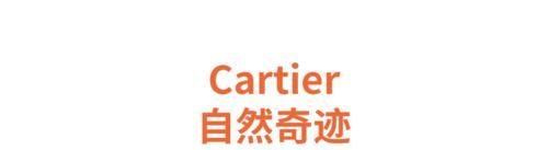 深度报道｜简约奢华——后疫情时代的高级珠宝返璞归真