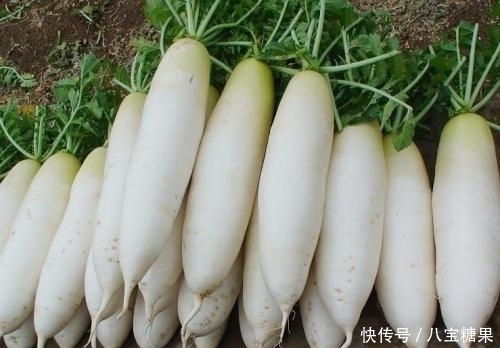 白萝卜|白萝卜和此物一起炖,体内垃圾毒素没了,色斑没了,早知早受益