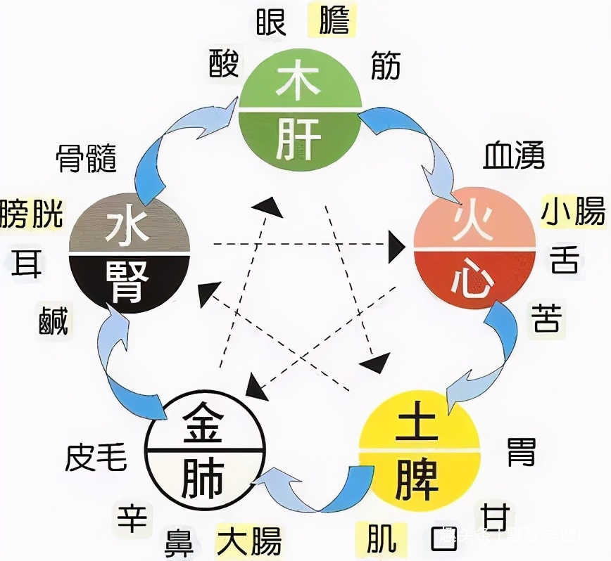 阳气不足|心对舌,肝对目,脾对口,肺对鼻,肾对耳,啥最养五脏全告诉你