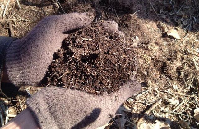 花卉|4种土，宁可扔了也别养花，不然累死也养不好！