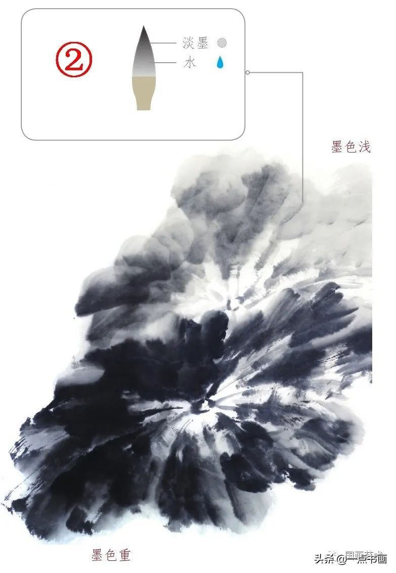 一学就会画荷花金鱼