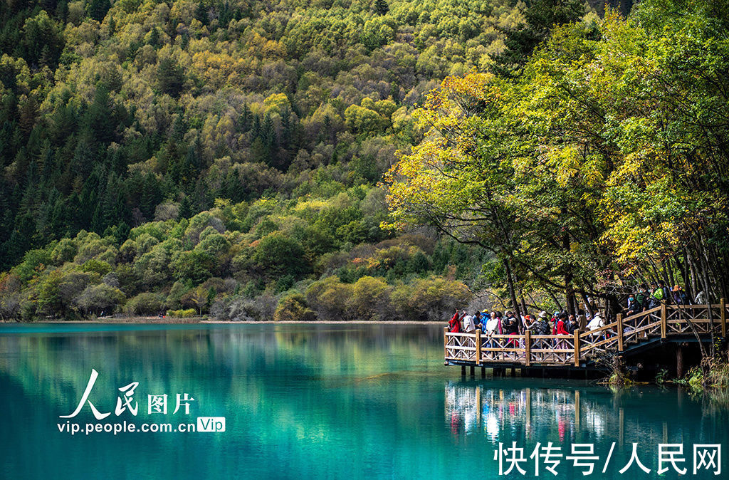 秋景|四川阿坝：九寨沟秋景迷人