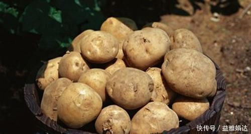 食物|聪明的人最爱吃3种食物,补血养颜、延缓衰老,早吃早好!