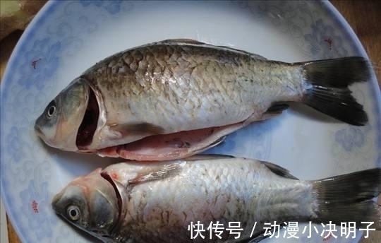 鲫鱼好吃但刺多, 教你一招, 做出的鲫鱼没有鱼刺, 安全放心