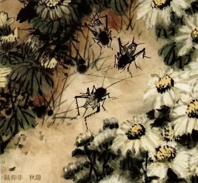 蝈蝈$国画技法图典——草虫篇:蝗虫 蚂蚱 蝈蝈 螽斯 螳螂 蟋蟀