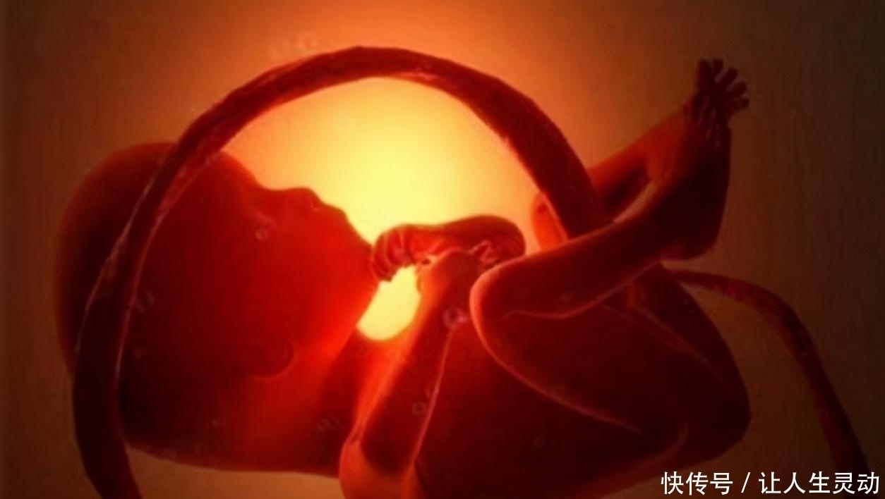 信号|胎儿没出生就脐带断裂,医生也无能为力,孕妈抓住宝宝求救信号