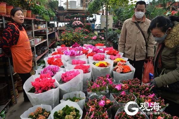 春节临近,青岛花卉市场又热闹起来了!