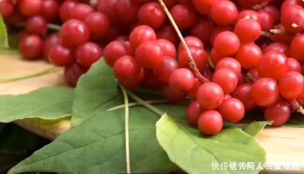 木脂素|90岁肝病院士从重度肝硬化到肝功正常,只需坚持做好这4件事