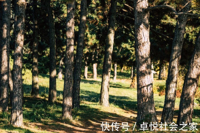 萃枫苷|老人 “日行万步”不可取?每天走多少步好?这个范围内会更健康