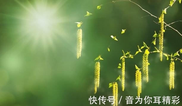 故人|5天后，故人难寻，爱意缱绻，一次相遇，甜蜜再续，破镜重圆