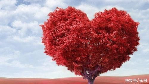 更上一层楼|凭第一眼的感觉,哪棵树最入你眼测未来你的孩子会不会有出息