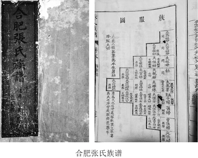 顿丘令|互联网时代为何仍需重读家谱家书？“家文化”藏着中华传统基因密码