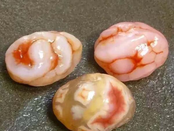 小石头|这种看起来肉肉的小石头异常珍贵,一颗就有可能换回一辆小轿车