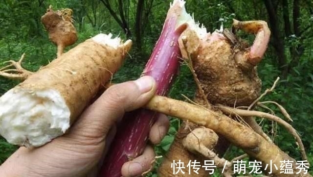 农村|农村即将消失的4大美食，00后肯定没吃过，你呢？见过吗？