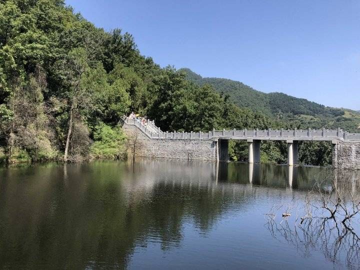 银杏树|游记｜游玉泉禅寺