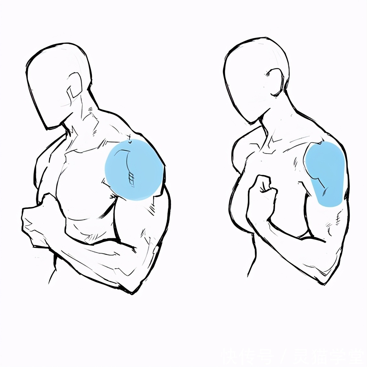 怎么画肌肉发达的女人?教你肌肉发达女性的画法教程!