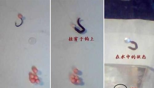 鱼钩|钓鱼技巧:知道钓离底,“反向钓离底”是个啥钓法?应该怎么用?