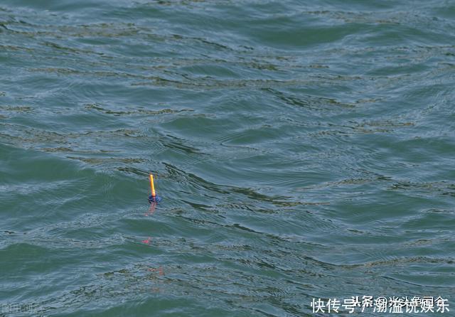 鲫鱼都是送漂?谣言!这7种漂相都是鲫鱼吃钩,看你错过多少鱼