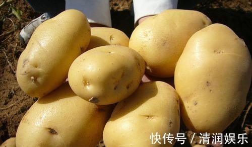 妇科病|女性到了中年,常吃几种食物,补血养颜,排毒抗衰,预防妇科病