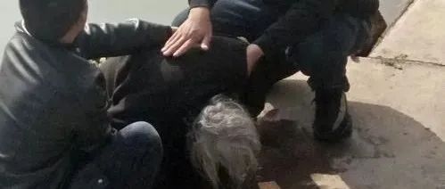 集体婚礼|【出彩市县】万鸟齐飞蔚为壮观