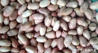 忠告|忠告:煮花生不能放此物,吃了就是没病找病,现在知道还不晚