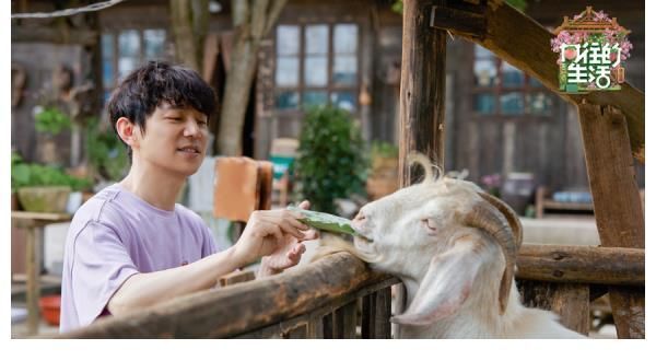 劉曉邑|《向往的生活》第五季向往的圖書館開業(yè) 劉曉邑木偶戲治愈暖心