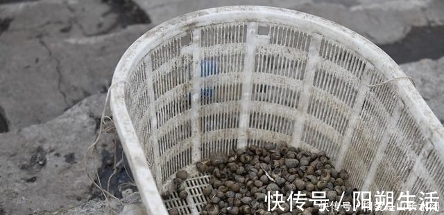 大鱼|夏季守巨物的3个要素，“诱鱼、留鱼、钓鱼”，缺一不可！