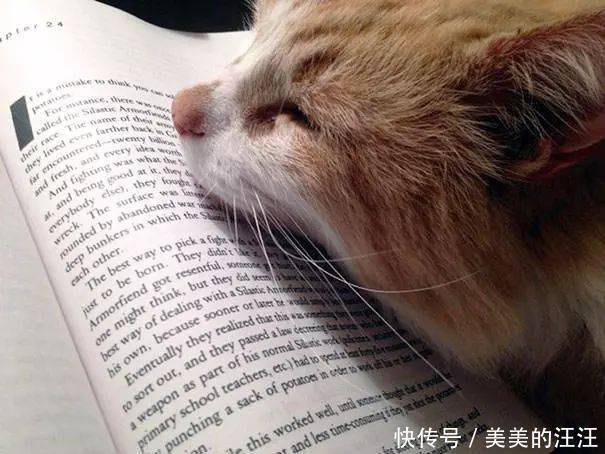 看什么书看书,难道我还没有书好看吗