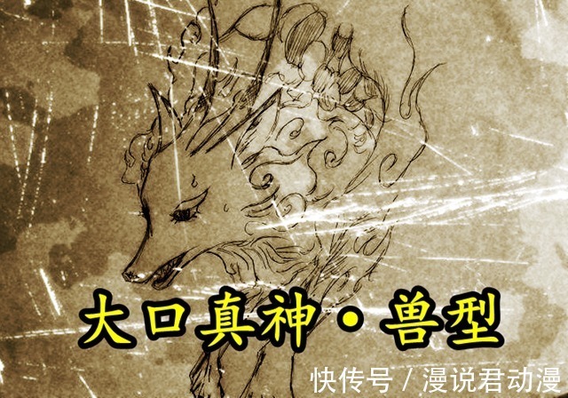 cp0|海贼王1028:世界政府行动,统治和之国,抓捕罗宾,山治血脉觉醒