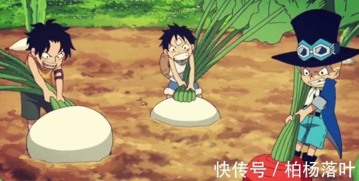 萨博|海贼王萨博死讯传遍世界,女帝处境危险,路飞要为老婆考虑了