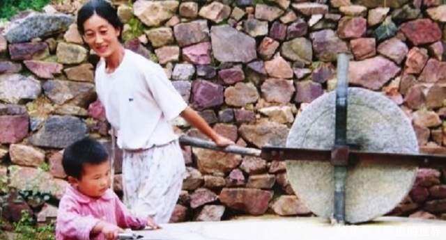 花光|北大教授王青松,携妻隐居深山12年,花光350万积蓄后来如何