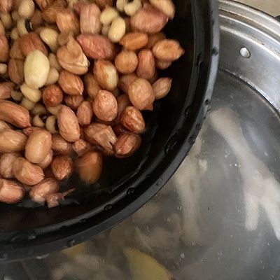 鸡脚|花生鸡脚汤