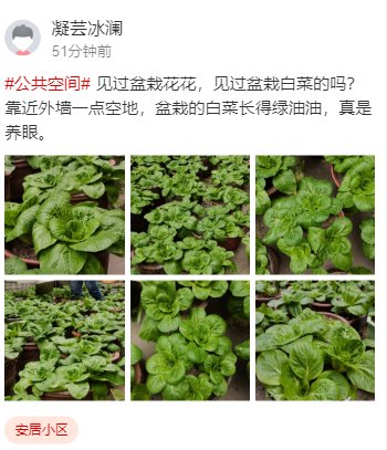 宝剑锋|这哪里是冬天，你看亭边的小树已发芽，春姑娘来我们小区啦