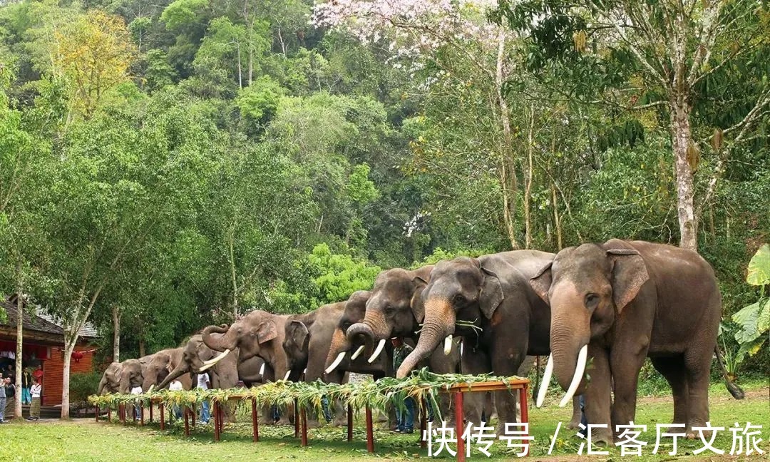 景迈山|北纬21°，北回归线上唯一绿洲，目之所及皆是浓郁的东南亚风情