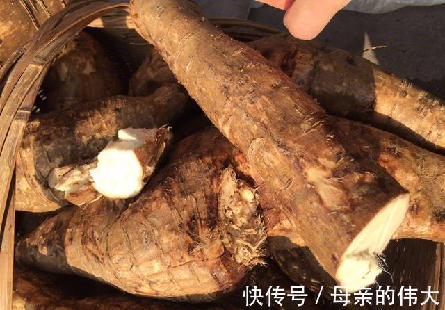 牡蛎|“奔四”的女人别太节俭，平时多吃7种食物，或助补充雌激素