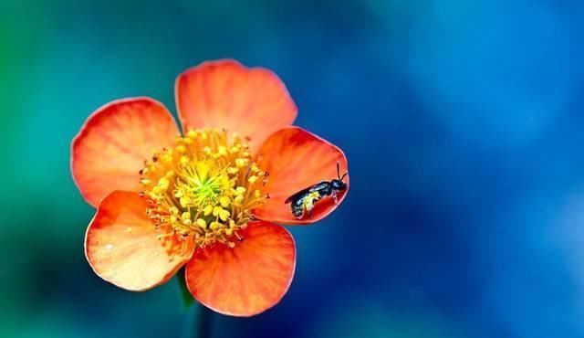  美丽|一千年前的一首古诗，虽然流传不广，却狠狠讽刺那些不劳而获的人