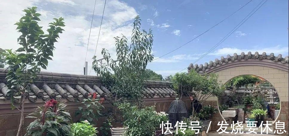 盆景变风景花园变家园简阳这些乡村小院里藏着“桃花源”