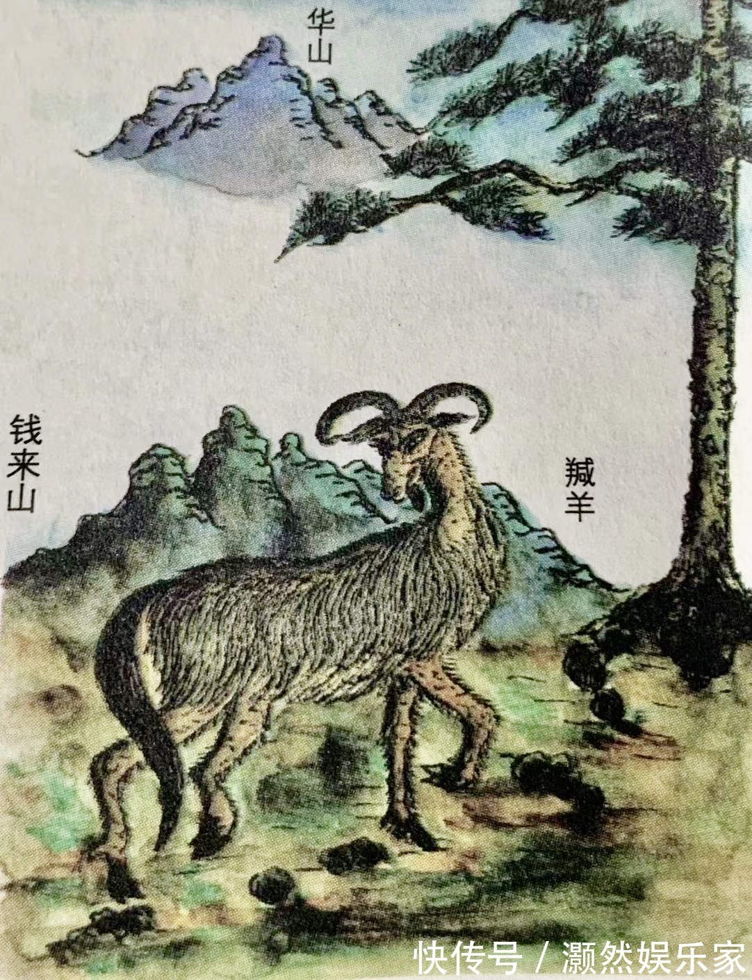 华夏地貌$研究《山海经》三十余年，他们重现了4000年前的华夏地貌