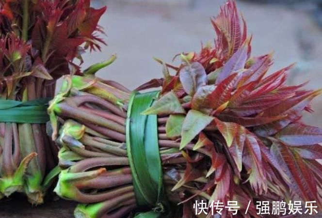 红凤菜|以下五大野菜不建议过量食用,少吃不可贪嘴,有人居然一点不知道