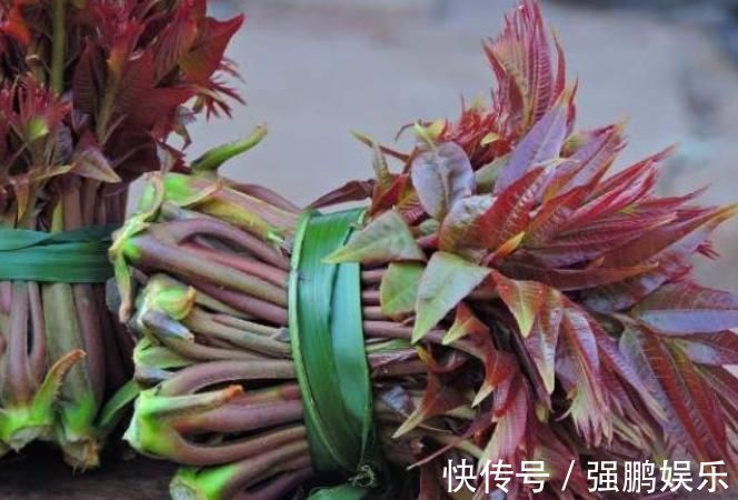 红凤菜|以下五大野菜不建议过量食用，少吃不可贪嘴，有人居然一点不知道